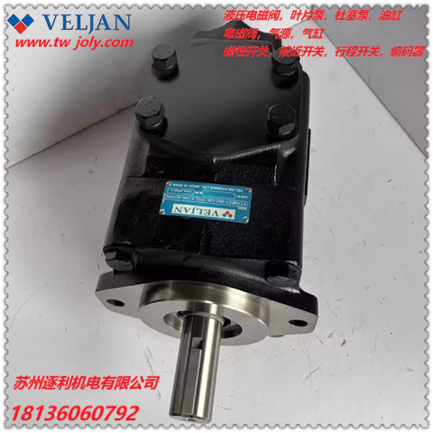 VELJAN維京液壓泵VT6DC-045-0281R00B1雙聯(lián)葉片泵油泵